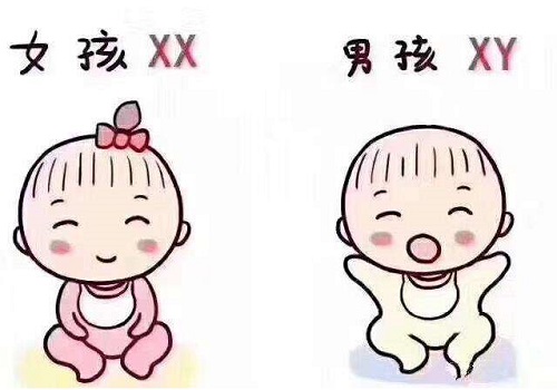 试管婴儿的利弊有几个？