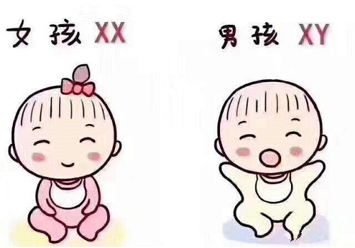 试管婴儿技术可以避免胎停？什么原因会导致胎停？