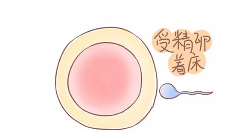 试管婴儿女人要承受多少痛苦？哪个过程痛苦？