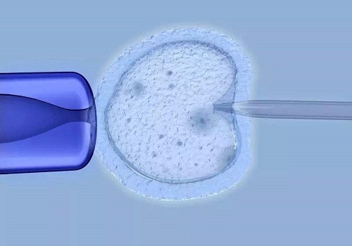 试管婴儿成功几率受什么影响？掌握好这四个诀窍更易成功！