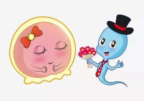 第一次不成功，第二次做泰国试管婴儿多少钱？