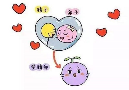 试管婴儿之前需要做免疫检查吗