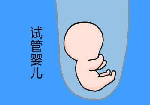 试管婴儿多少钱一次？