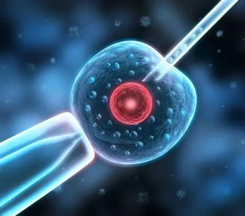 泰国试管婴儿没有功？那做几次可以成功？