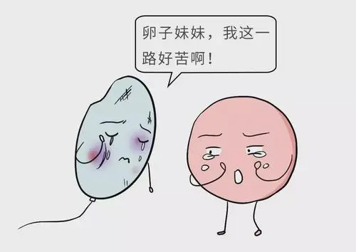 试管婴儿手术需要预备多少钱