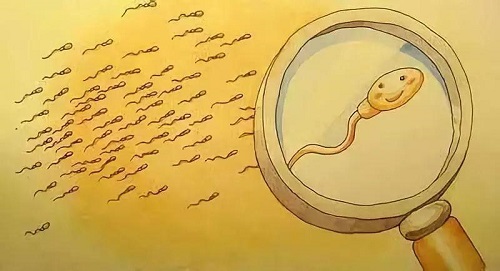 试管婴儿并非人人都可以试