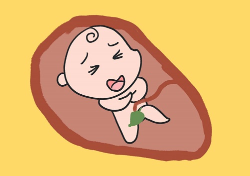 试管婴儿移植后一周胚胎着床了吗？你了解吗？