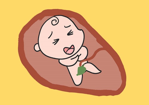 试管婴儿成败就在这5点，影响成功率的因素