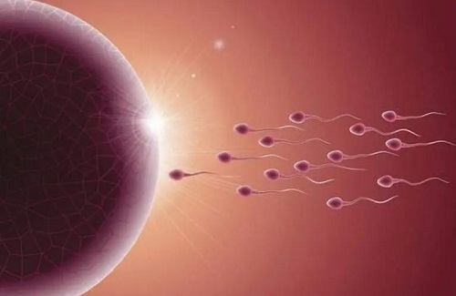 试管婴儿囊胚移植有哪些优点