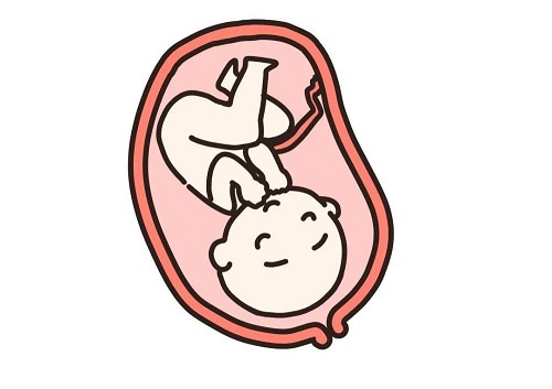 试管婴儿多少钱？省钱攻略有吗？