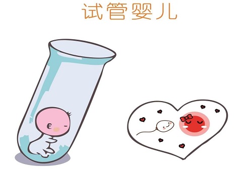 试管婴儿取卵十几个，最后只有一个胚胎可用
