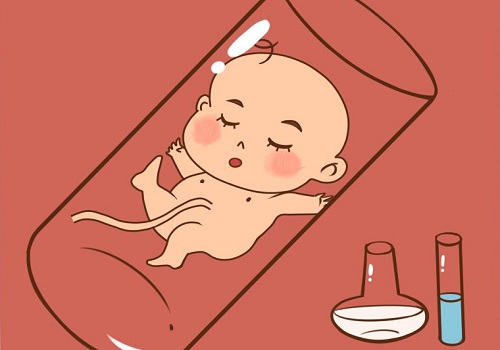 俄罗斯试管婴儿周期治疗的程序